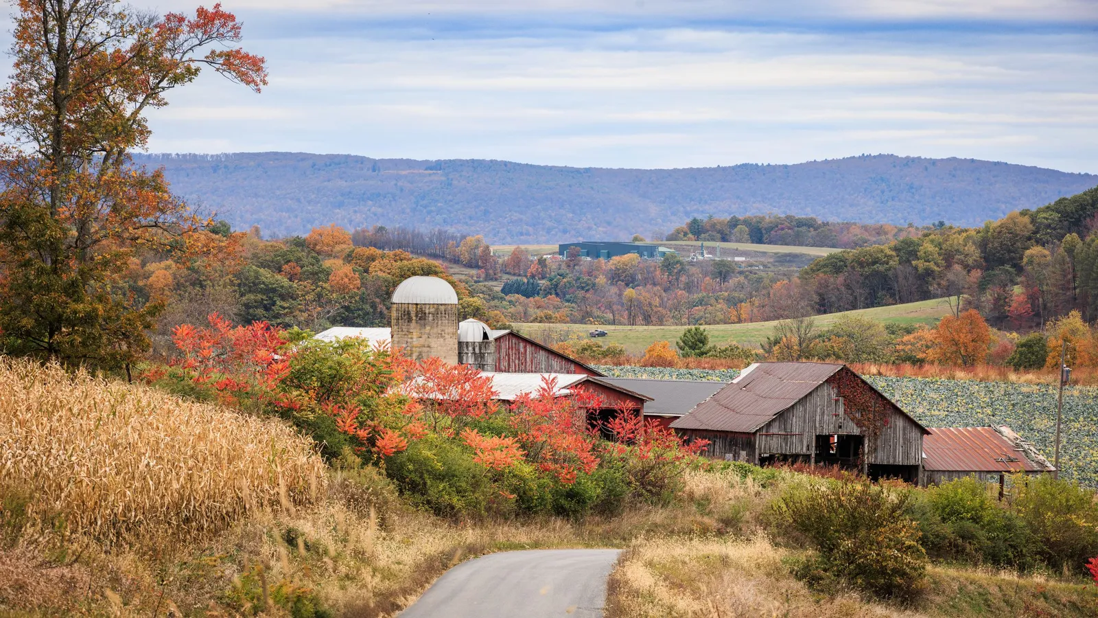 Red barns and a silo sit among autumn trees and fields with mountains beyond, near Williamsport, Pennsylvania.